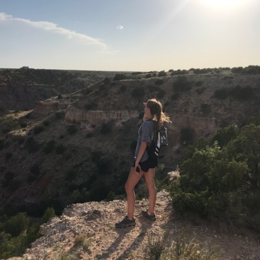 Meet your Posher, Shelby